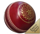 Promotional Cricket Ball